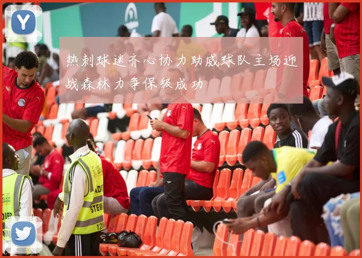 热刺球迷齐心协力助威球队主场迎战森林力争保级成功