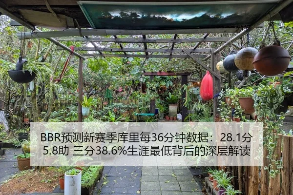 BBR预测新赛季库里每36分钟数据：28.1分5.8助 三分38.6%生涯最低背后的深层解读